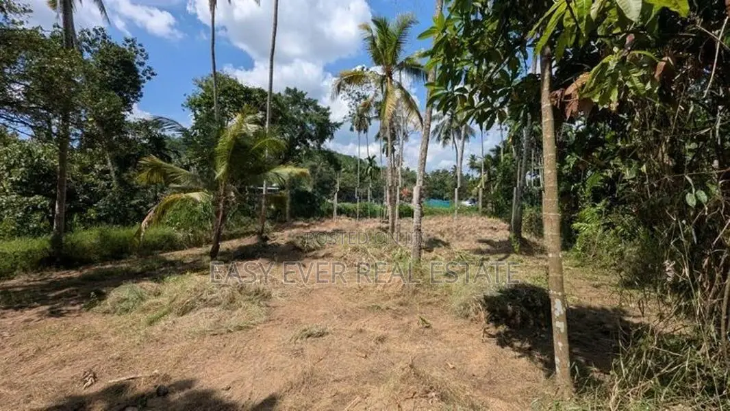 වැලිවේරිය හේනෙගම ජාතික පාසල අසල සුපිරි ඉඩමක්