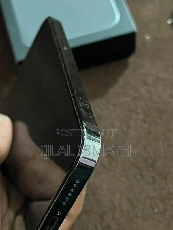 Apple iPhone 13 Pro Max (Used)