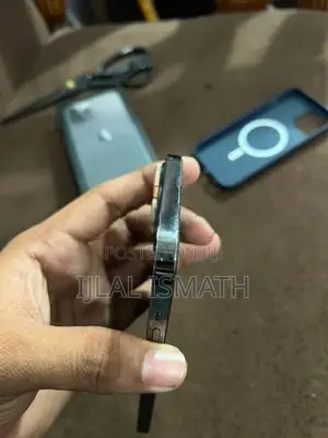 Apple iPhone 13 Pro Max (Used)
