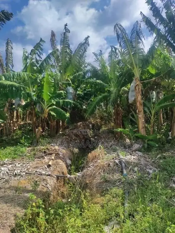 Land for Sale in Kakirawa