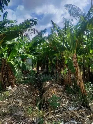 Land for Sale in Kakirawa