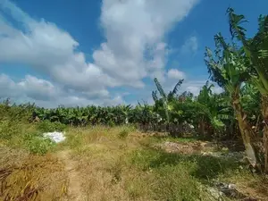 Land for Sale in Kakirawa