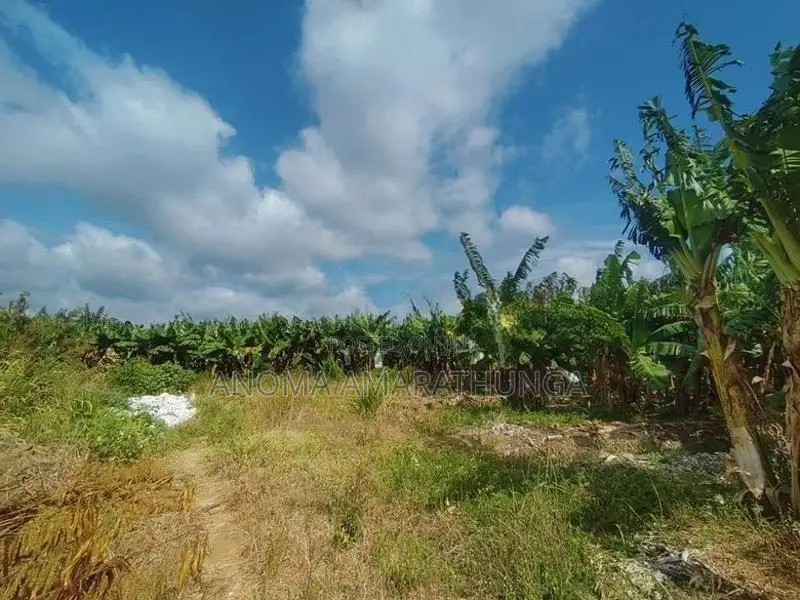 Land for Sale in Kakirawa