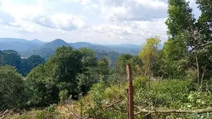 Land Sale in Herassagala Kandy