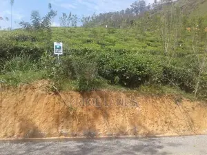 Land for Sale in Bandarawela