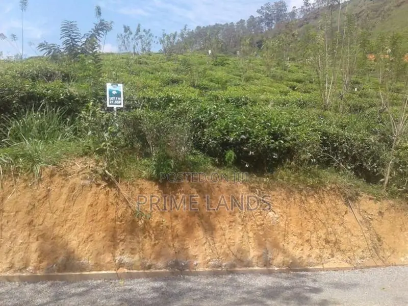 Land for Sale in Bandarawela