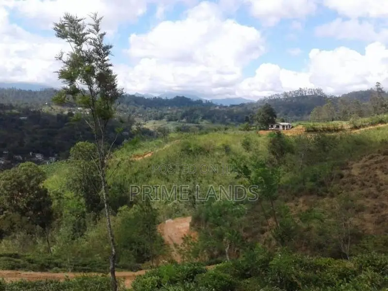 Land for Sale in Bandarawela