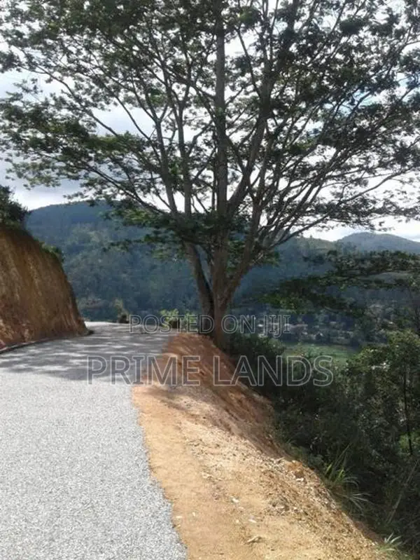 Land for Sale in Bandarawela