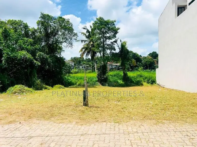Paddy Facing 6.5 P 13 Land for Sale in Pannipitiya Mahalwarawa