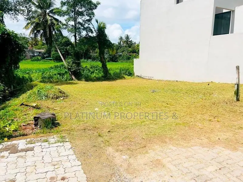 Paddy Facing 6.5 P 13 Land for Sale in Pannipitiya Mahalwarawa
