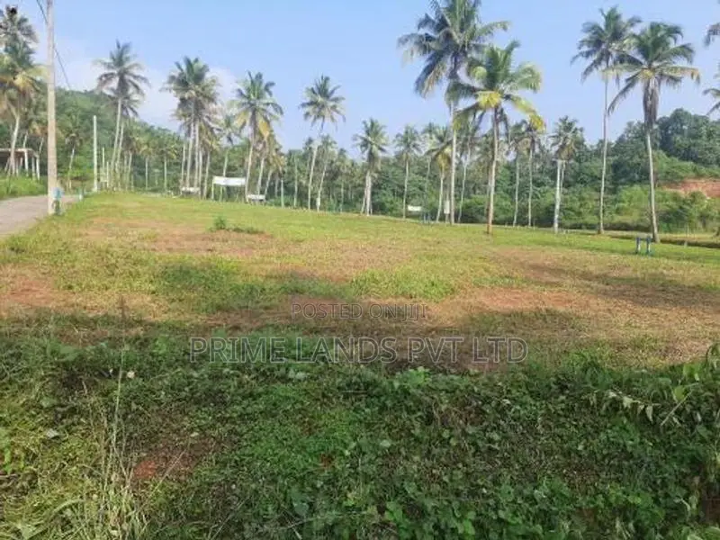 නාරම්මලින් ඉඩමක්