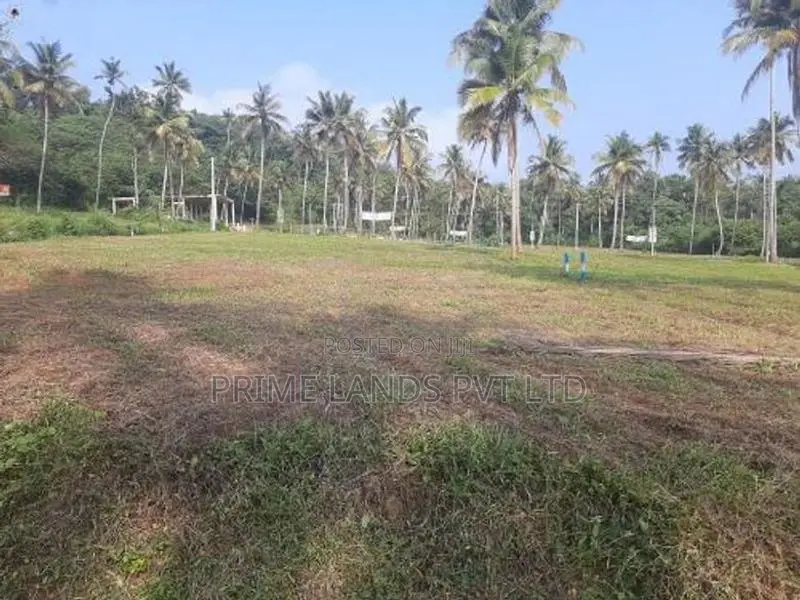 නාරම්මලින් ඉඩමක්
