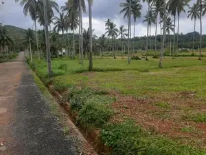 නාරම්මලින් ඉඩමක්