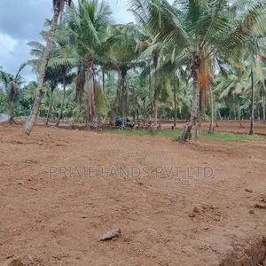 කුරුණෑගලට ලගින්ම දොරටියාවෙන් ඉඩමක්
