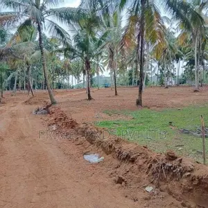 කුරුණෑගලට ලගින්ම දොරටියාවෙන් ඉඩමක්