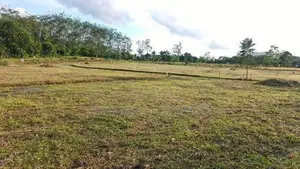 වටිනා ඉඩමක් ඇහැලියගොඩින්