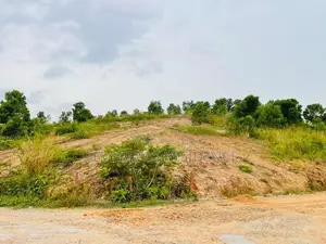Best land for sale Avissawella