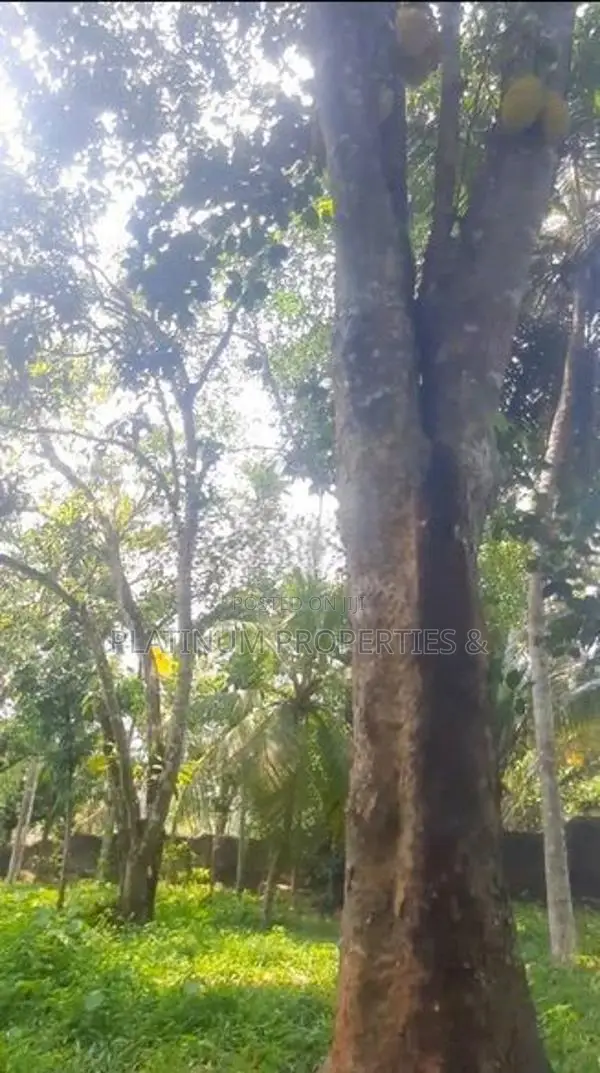 200 Perch Land for Sale at Athurugiriya in A Rapid Developing Area