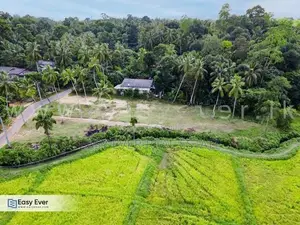 Wathupitiwala ඉඩමක්