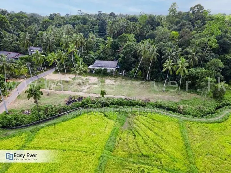 Wathupitiwala ඉඩමක්