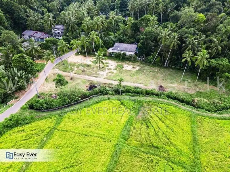 Wathupitiwala ඉඩමක්