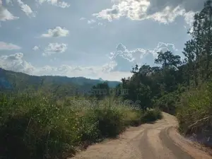Land for Sale Nillamba