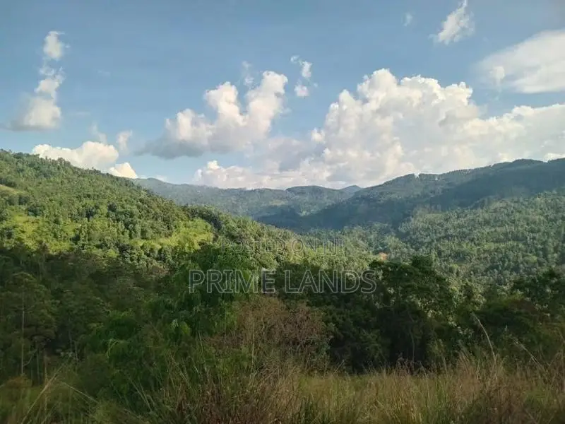 Land for Sale Nillamba