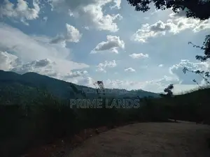 Land for Sale Nillamba