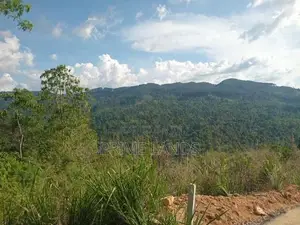 Land for Sale Nillamba
