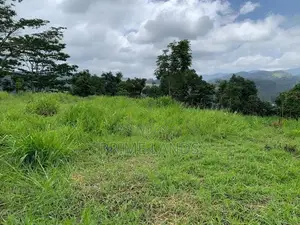 Land for Sale Pussellawa