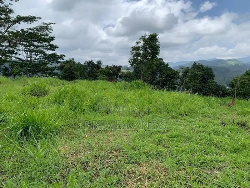 Land for Sale Pussellawa