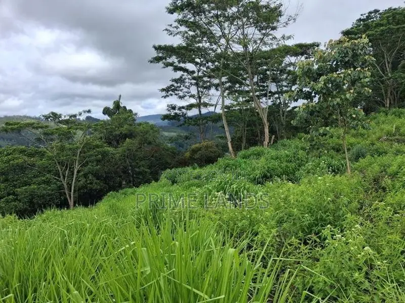 Land for Sale Pussellawa