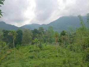 Land for Sale Nawalapitiya