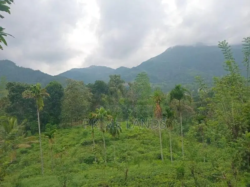 Land for Sale Nawalapitiya