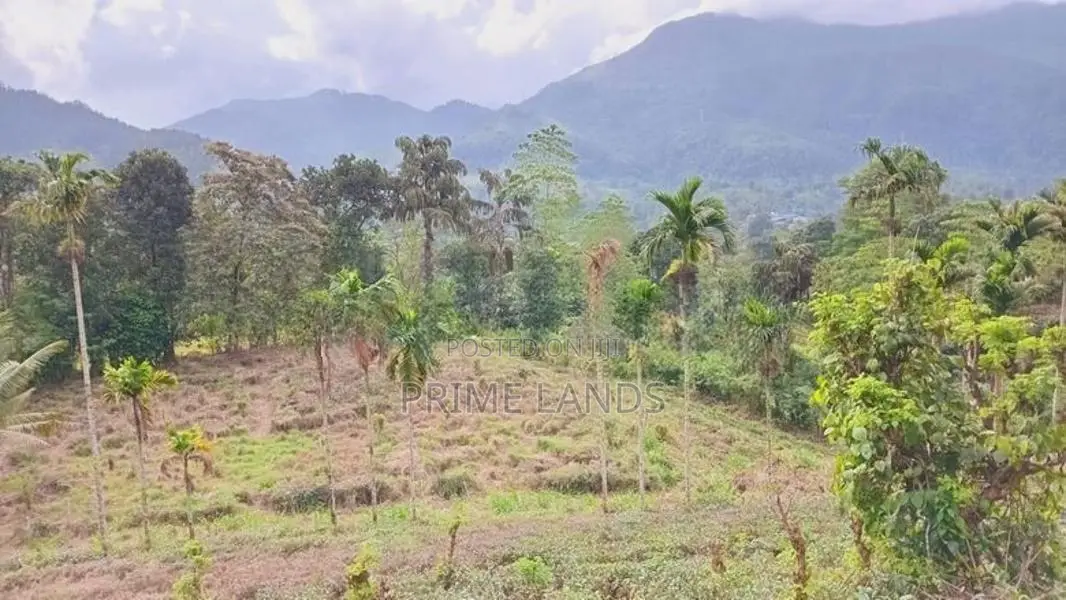 Land for Sale Nawalapitiya