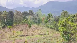 Land for Sale Nawalapitiya