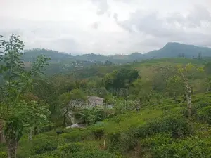 Land for Sale Nawalapitiya