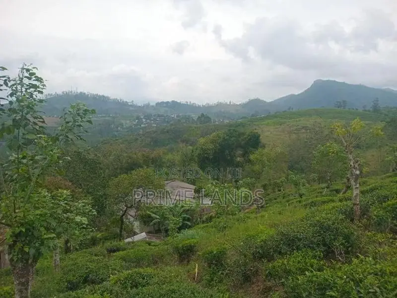 Land for Sale Nawalapitiya