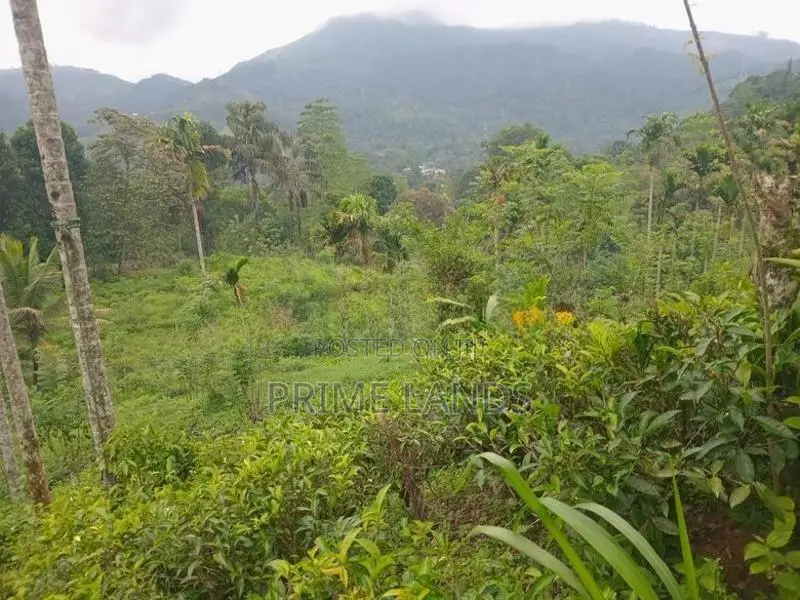 Land for Sale Nawalapitiya