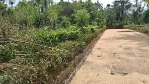 Land for Sale Nawalapitiya