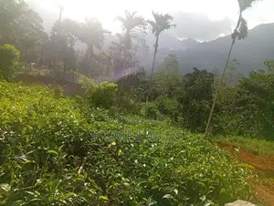 Land for Sale Nawalapitiya