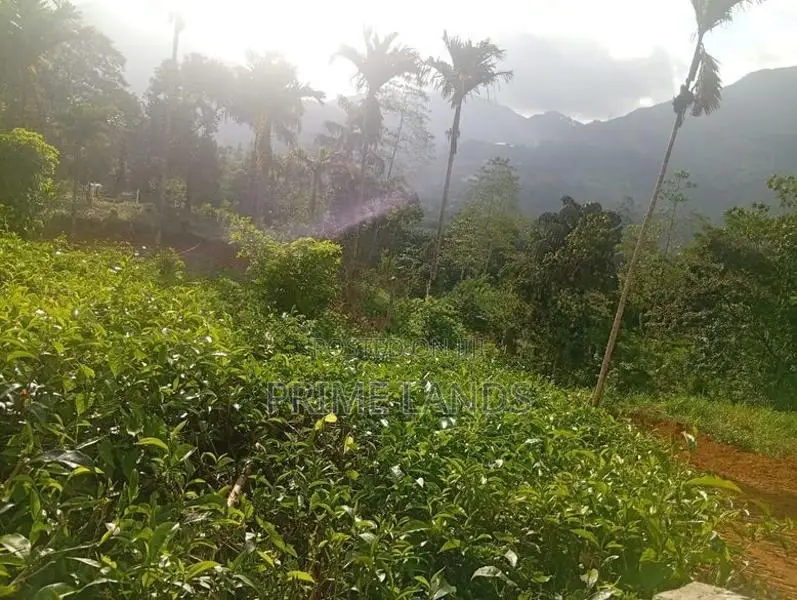 Land for Sale Nawalapitiya