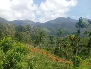 Land for Sale Nawalapitiya