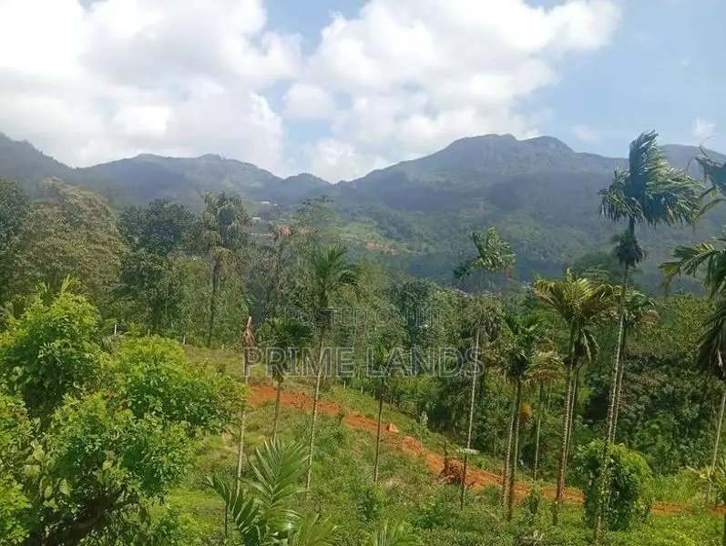 Land for Sale Nawalapitiya