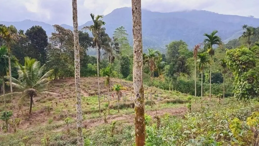 Land for Sale Nawalapitiya