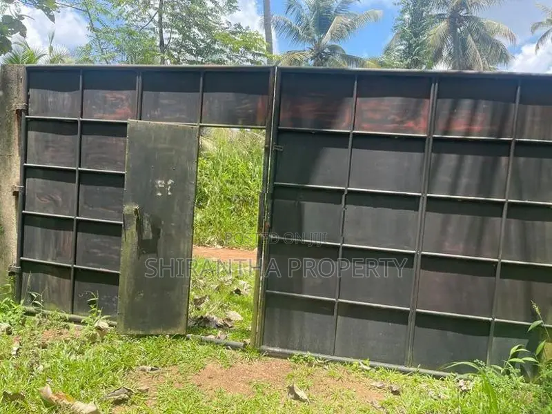 Coconut Land Giriulla