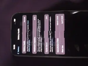 Apple iPhone 16 Pro Max (Used)