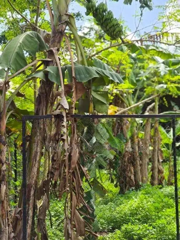 10.24 Perch Land for Sale in Kottawa Mattegoda Junction - Namal Uyana