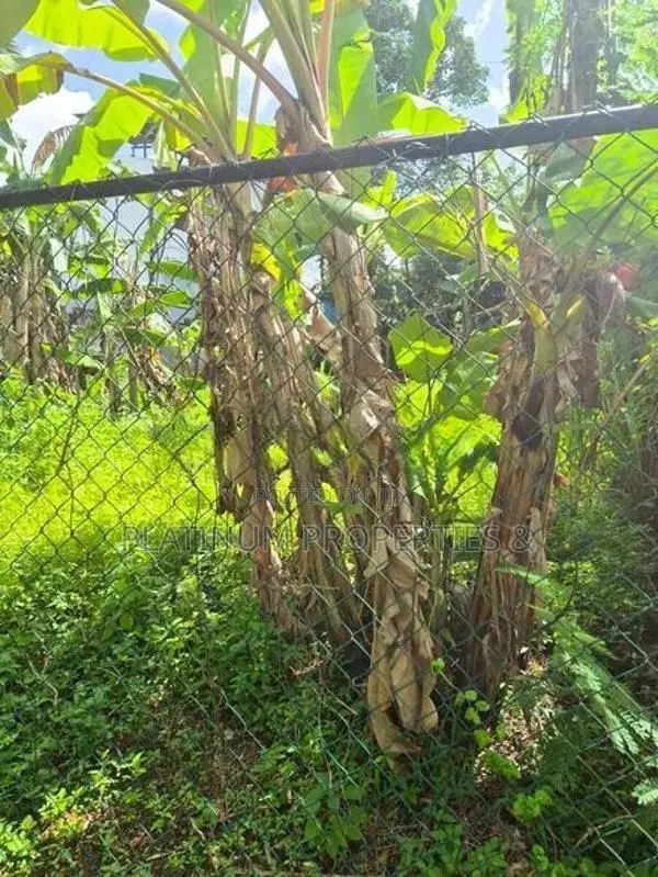 10.24 Perch Land for Sale in Kottawa Mattegoda Junction - Namal Uyana