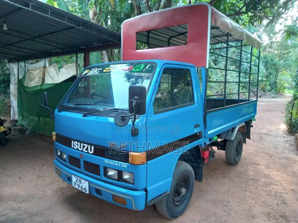 Isuzu ELF 1983 Lorry (Used)